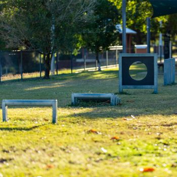 Rossiter Park Dog Exercise Equipment