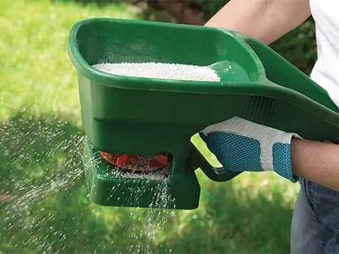 Someone fertilising grass