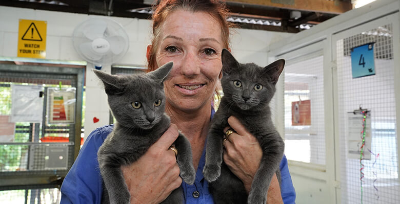 Caption: Animal Care officer Celeste Tinsley with two cats waiting for adoption at the Animal Care and Adoption Centre. Animal Care officer Celeste Tinsley with two cats waiting for adoption at the Animal Care and Adoption Centre