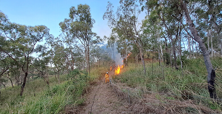 Townsville City Council staff conducting a hazard reduction burn.