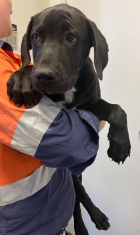 https://www.townsville.qld.gov.au/__data/assets/image/0028/287740/A00143.JPG