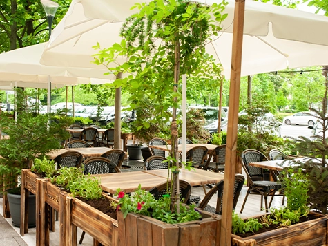 Dining surrounded by street plants