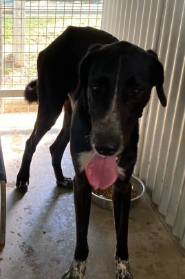 https://www.townsville.qld.gov.au/__data/assets/image/0028/322768/IMG_3616.jpeg