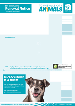 Dog - Registration Image