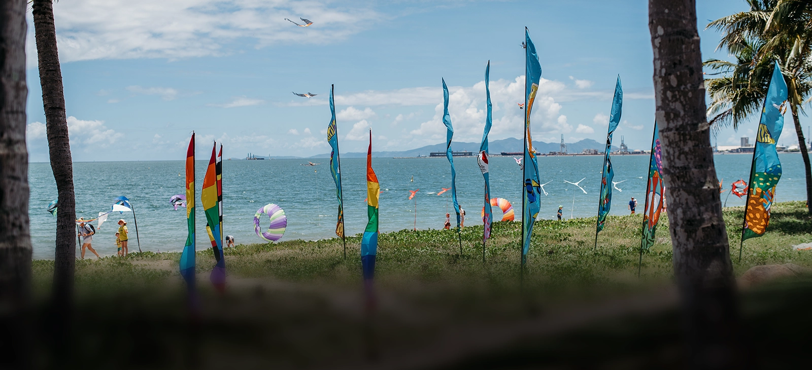 Flags and kites at Australia Day 2023
