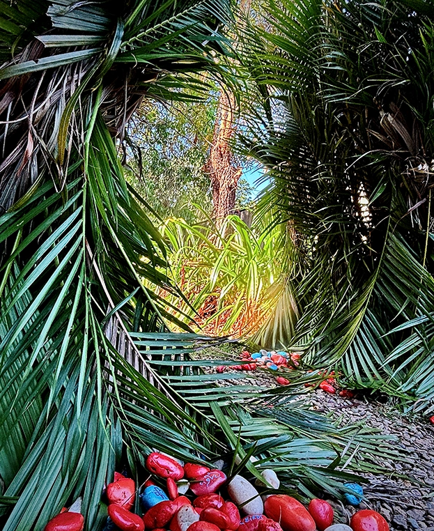 Bower Birds, The Bower, 2025