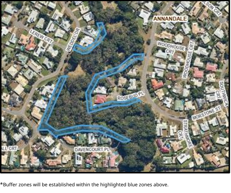 Macarthur Park – Morstone Flying Fox Roost Tree Maintenance 