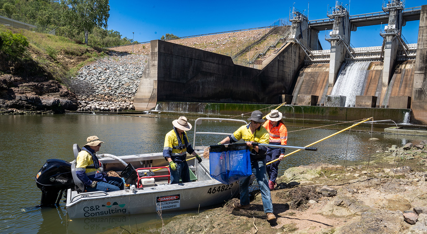 Contractors undertaking Council's electrofishing operation.