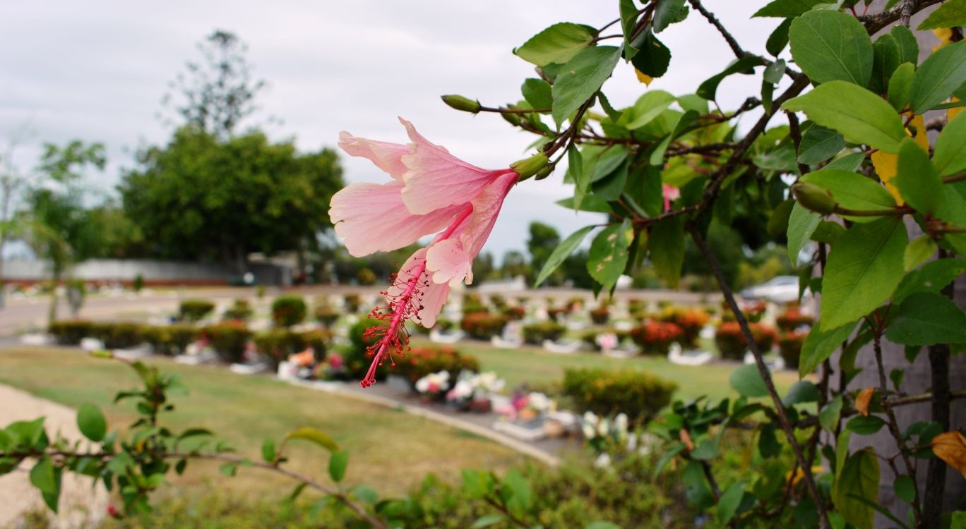 Residents are invited to take part in the Mother's Day Memorial this Saturday at Belgian Gardens Cemetery