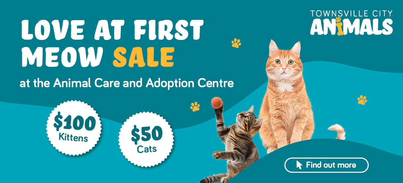 Find love at first meow at the Animal Care and Adoption Centre! Adopt for less with cats reduced to $50 and kittens discounted to $100 until Saturday 13 June 2026.