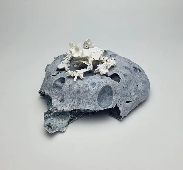 Mahala Hill, Armoured Mist Frog, 2020