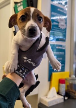 https://www.townsville.qld.gov.au/__data/assets/image/0032/336686/A69267Photo.jpg