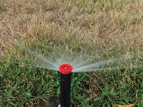A sprinkler watering the grass