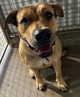 https://www.townsville.qld.gov.au/__data/assets/image/0033/278745/A66449.jpeg
