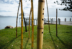 Artwork simulation of Aeolian Messenger by Graeme Buckley, Lynn Scott-Cumming & Rhonda Stevens Artwork simulation of Aeolian Messenger by Graeme Buckley, Lynn Scott-Cumming & Rhonda Stevens