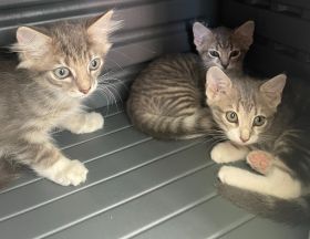 https://www.townsville.qld.gov.au/__data/assets/image/0034/268864/A65195-97.jpg