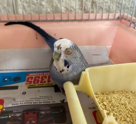 https://www.townsville.qld.gov.au/__data/assets/image/0034/289933/A66545.jpeg