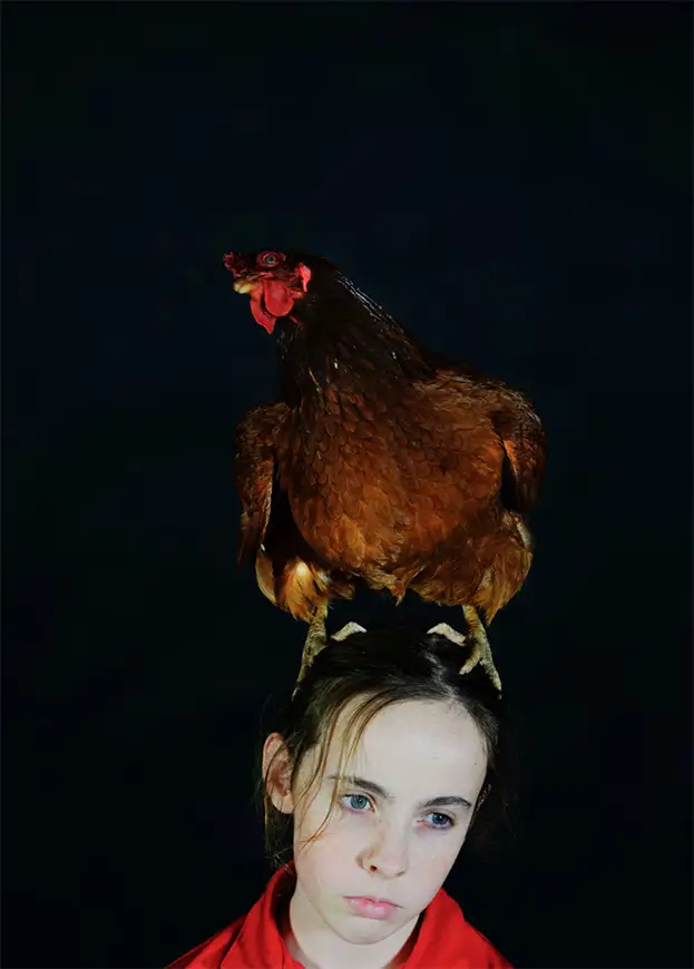 Nikki Easterbrook, Birds of a Feather, 2019
