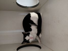 https://www.townsville.qld.gov.au/__data/assets/image/0034/327877/A67682Photo.jpg