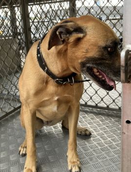https://www.townsville.qld.gov.au/__data/assets/image/0034/328849/A68168.jpeg