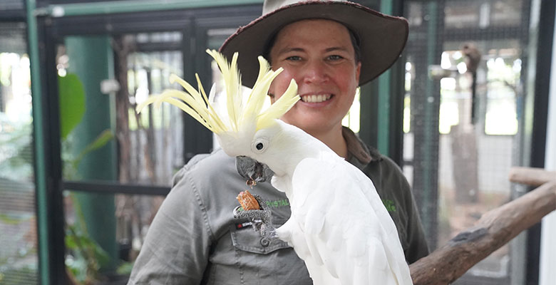 Ranger Krystal at Council's Percival Pacific Andrews bird aviary 