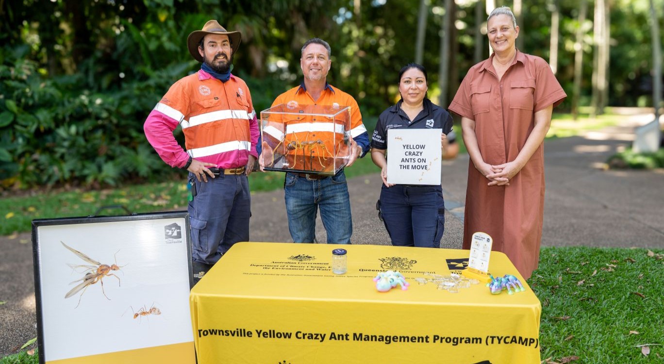 Townsville City Council will host a yellow crazy ant information stall at Palmetum this Saturday. L-R Council officer Chris Barrett, Mayor Nick Dametto, Council officer Tanya Bello and Deputy Mayor Suzy Batkovic. 