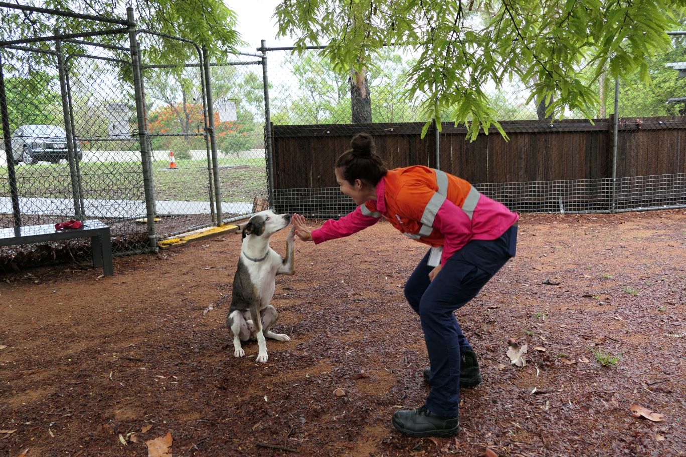 Daisy the dog practices her training with ACAC program officer Kiersten Hansen