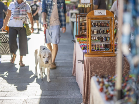Visitors walking their dog through the Cotters Market on Flinders Street, Townsville City