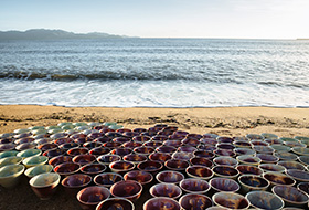Artwork simulation of Coral Bleaching by Leela Chakravarti & Edward O'Brien Artwork simulation of Coral Bleaching by Leela Chakravarti & Edward O'Brien