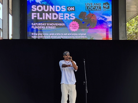 Dubbzone performing at Sounds on Flinders.