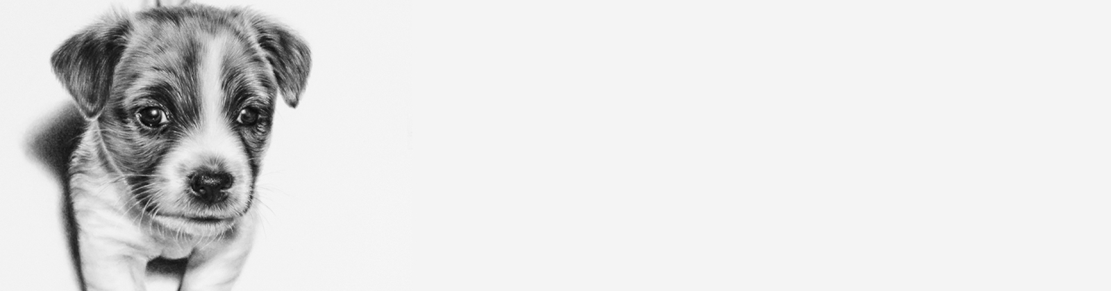 Percivals Call for Entries